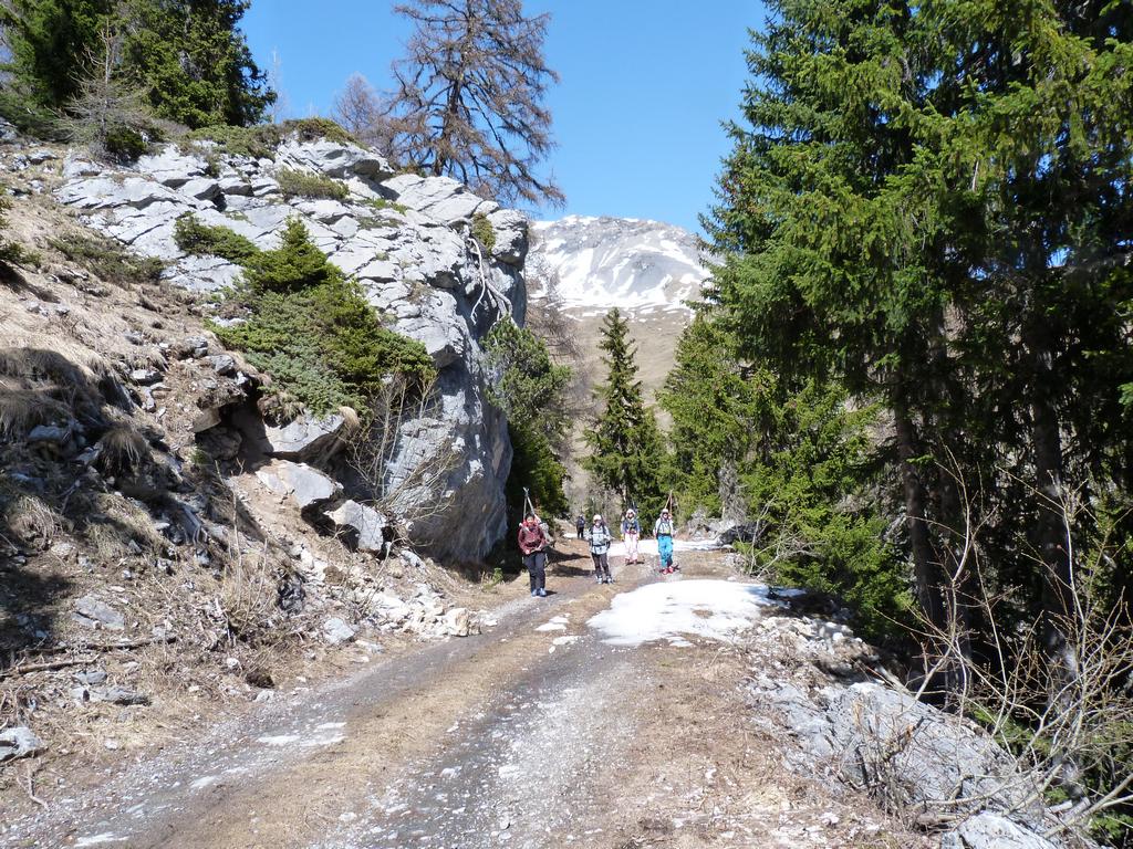 Cliqeu pour voir l'image suivante