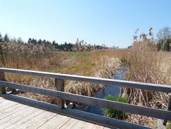 Clic pour agrandir l'image (1024x768 pixels; 158 KB)