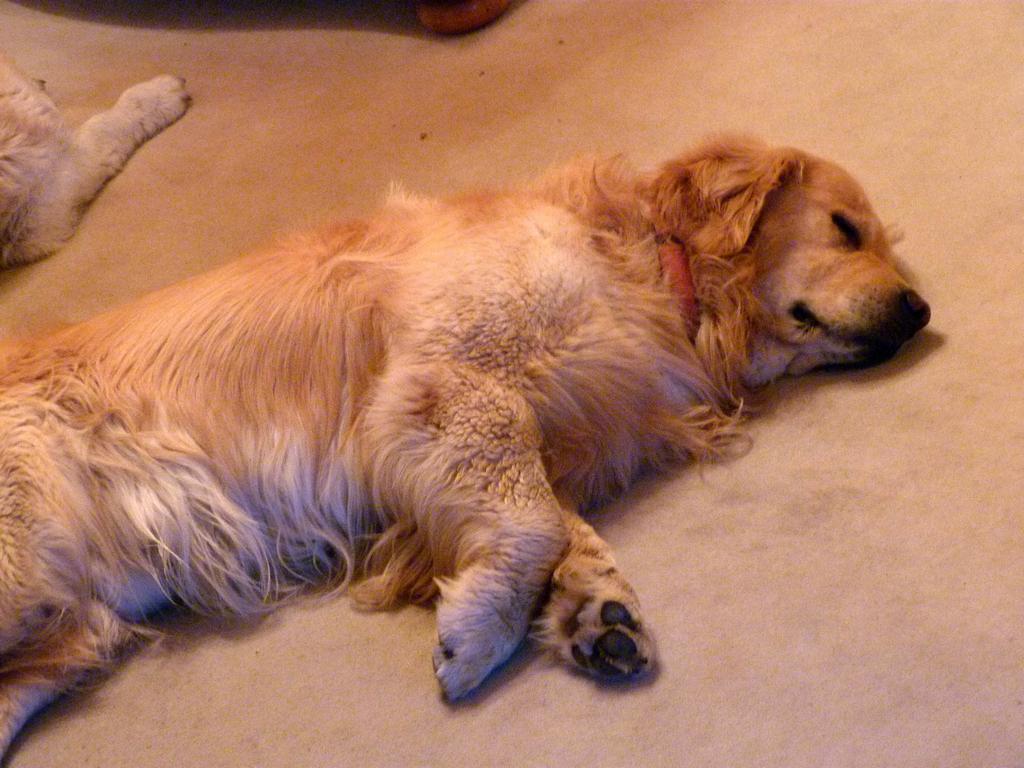 Cliqeu pour voir l'image suivante