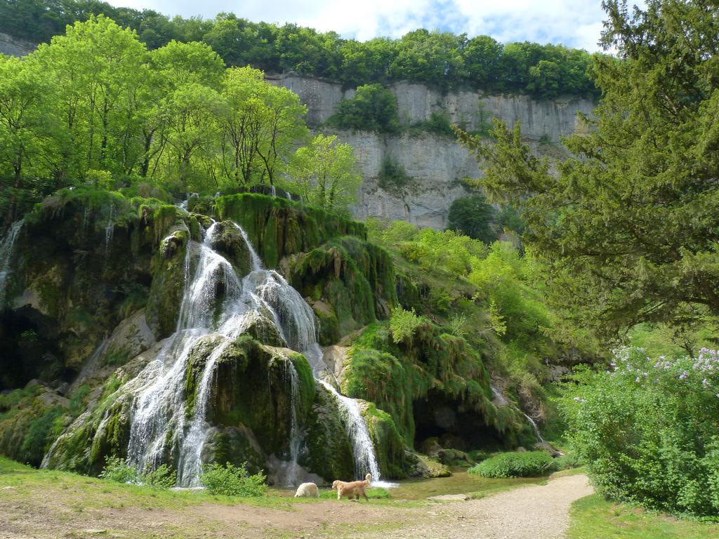 Cliqeu pour voir l'image suivante