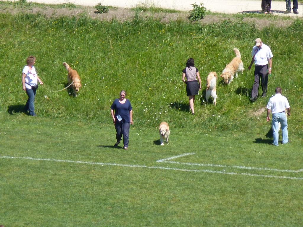 Cliqeu pour voir l'image suivante