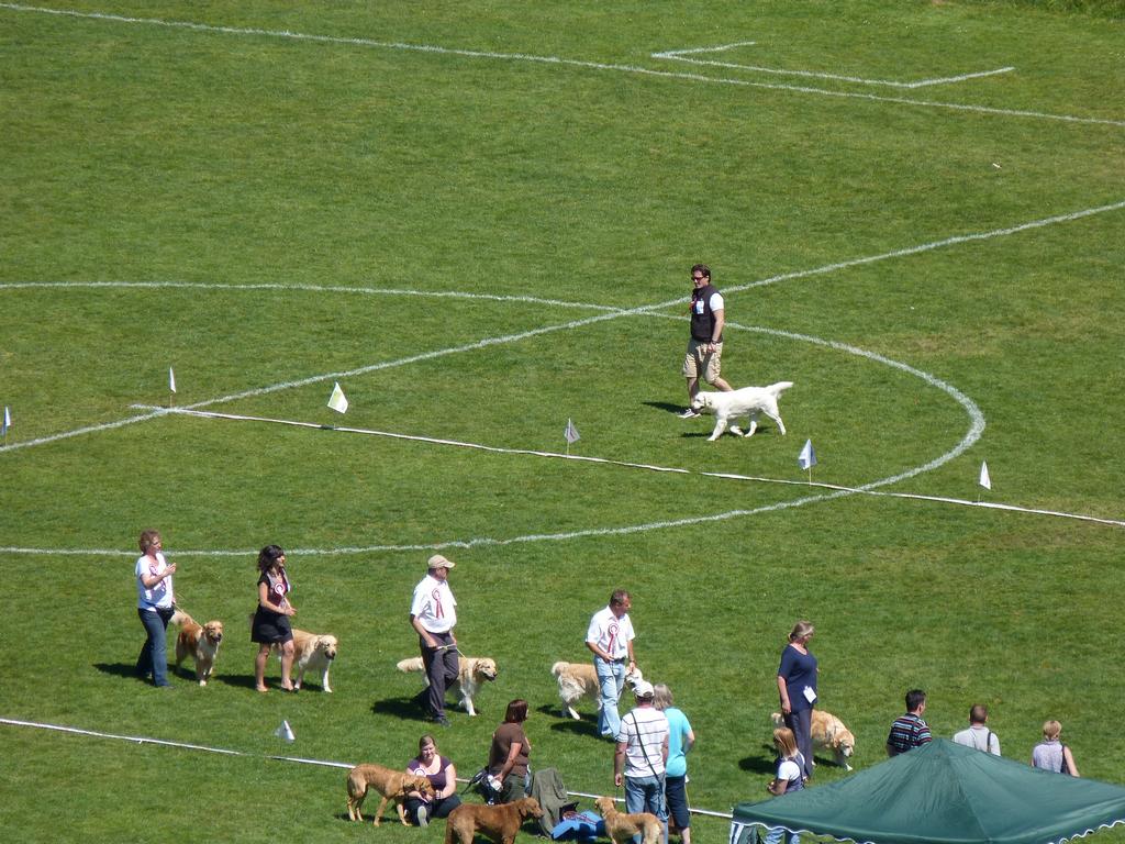 Cliqeu pour voir l'image suivante