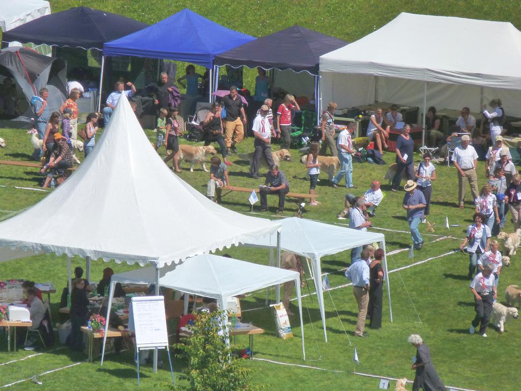 Cliqeu pour voir l'image suivante