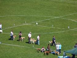 Clic pour agrandir l'image (1024x768 pixels; 142 KB)