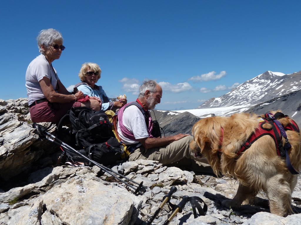 Cliqeu pour voir l'image suivante