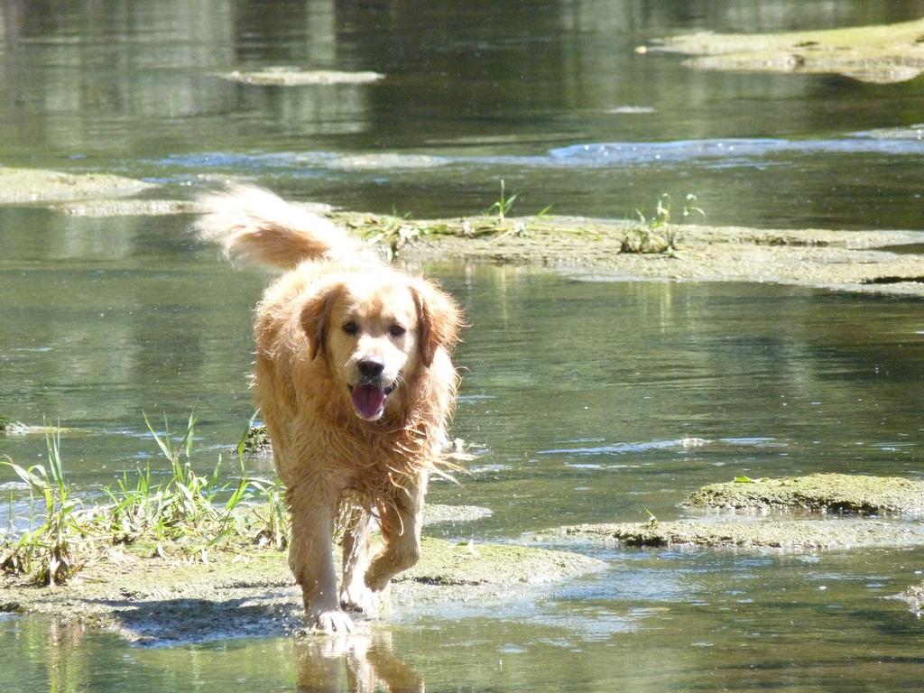 Clique pour voir l'image suivante
