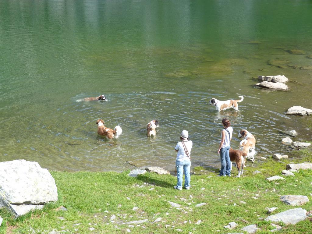 Clic pour l'image suivante