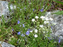 Clic pour agrandir l'image (1024x768 pixels; 219 KB)