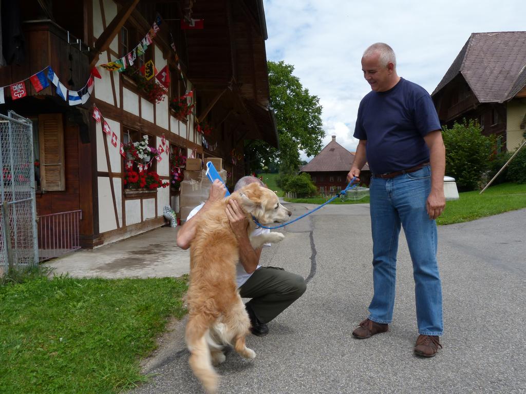 Clic pour l'image suivante