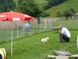 Clic pour agrandir l'image (1024x768 pixels; 203 KB)