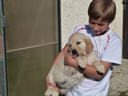 Clic pour agrandir l'image (1024x768 pixels; 99 KB)