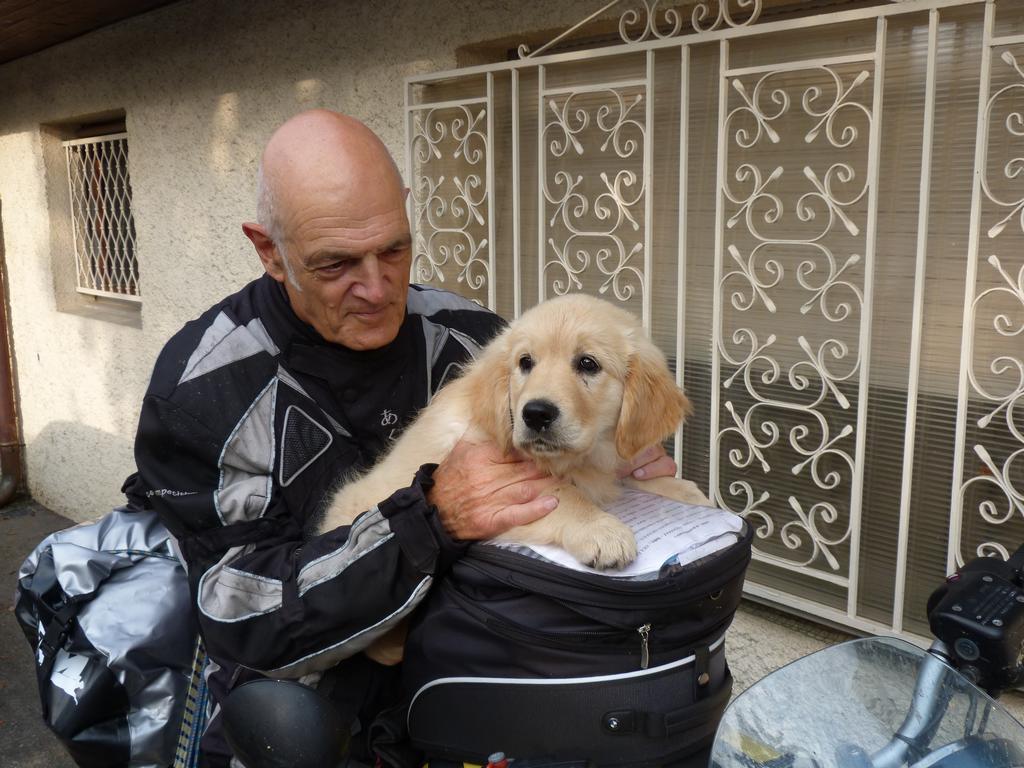 Clic pour l'image suivante