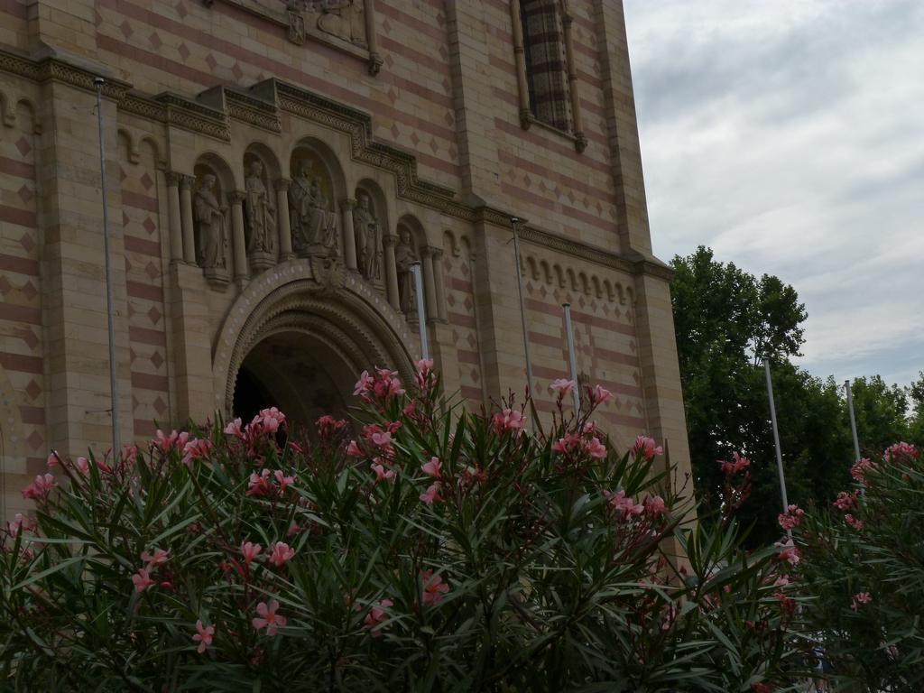 Clic pour l'image suivante