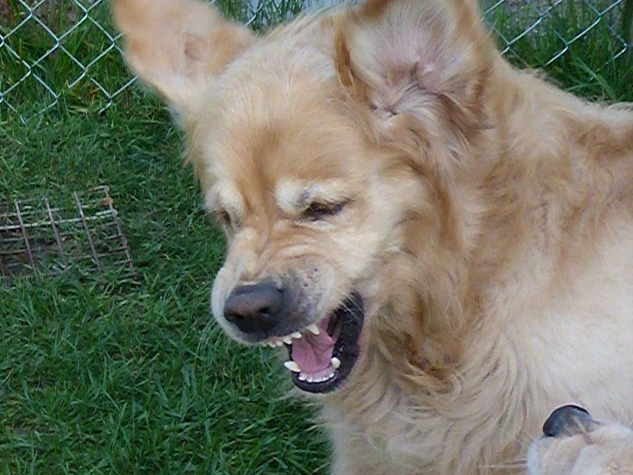 Clic pour l'image suivante