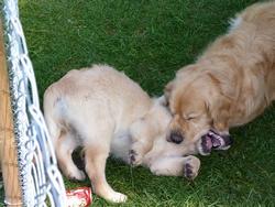 Clic pour agrandir l'image (1024x768 pixels; 157 KB)