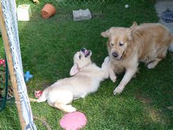 Clic pour agrandir l'image (1024x768 pixels; 196 KB)