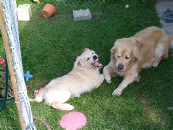 Clic pour agrandir l'image (1024x768 pixels; 199 KB)