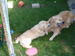 Clic pour agrandir l'image (1024x768 pixels; 200 KB)