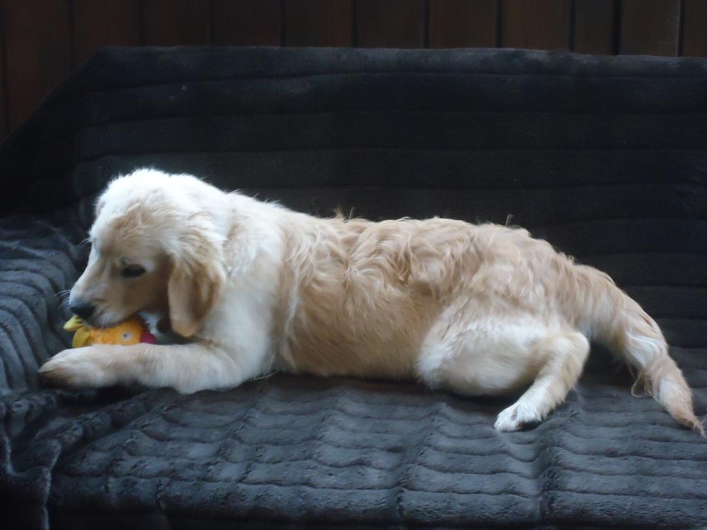 Clic pour l'image suivante