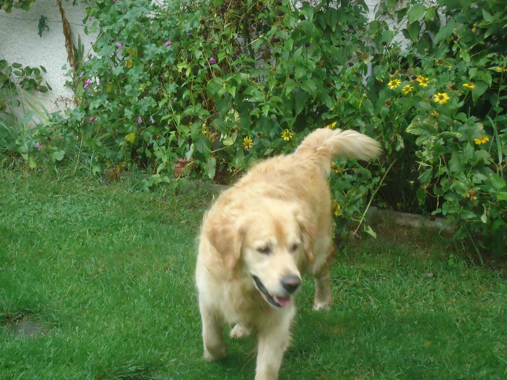 Clic pour l'image suivante