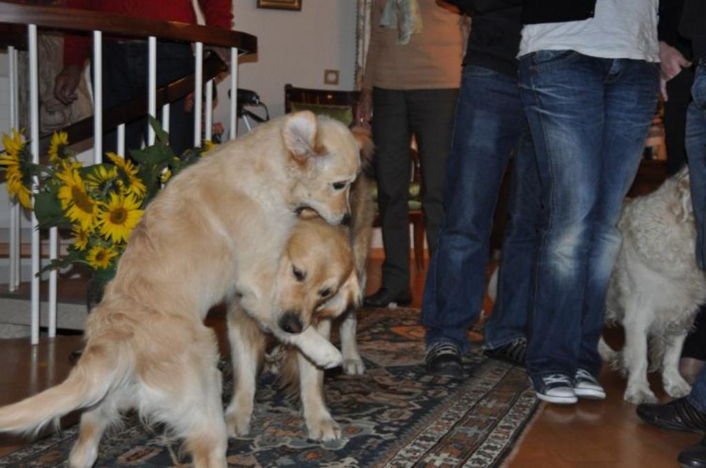 Clic pour l'image suivante