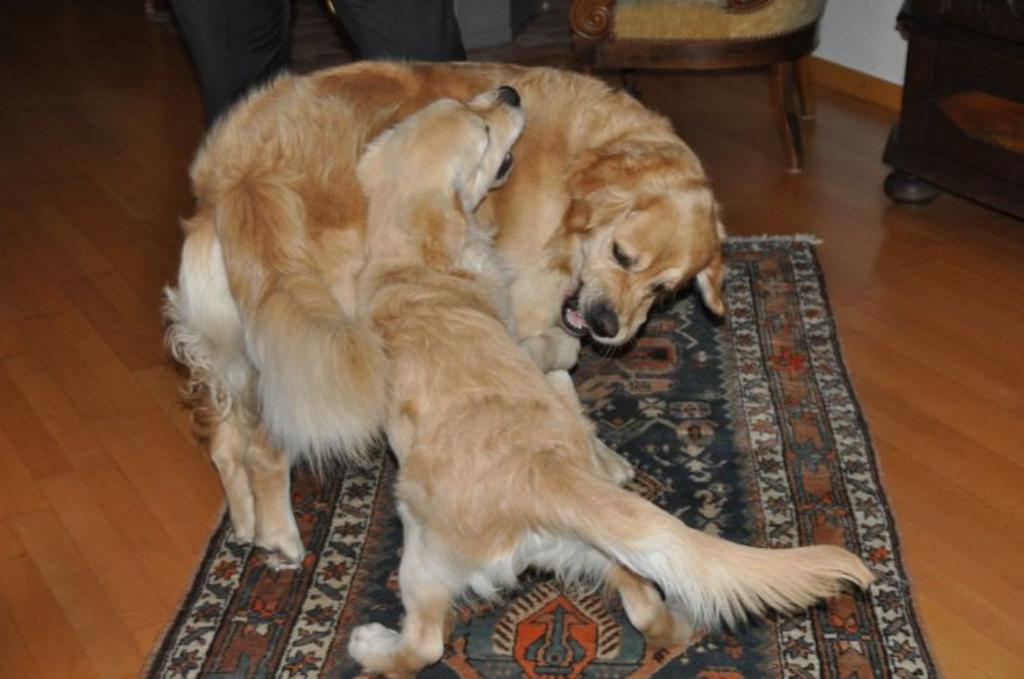 Clic pour l'image suivante