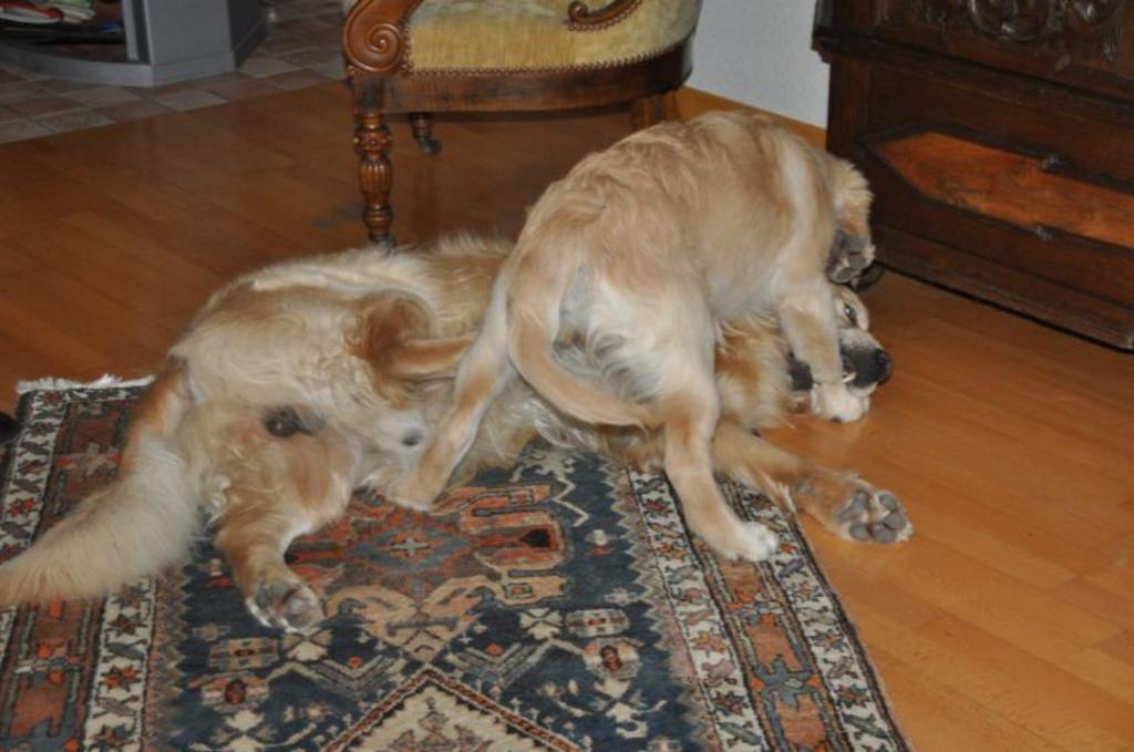 Clic pour l'image suivante