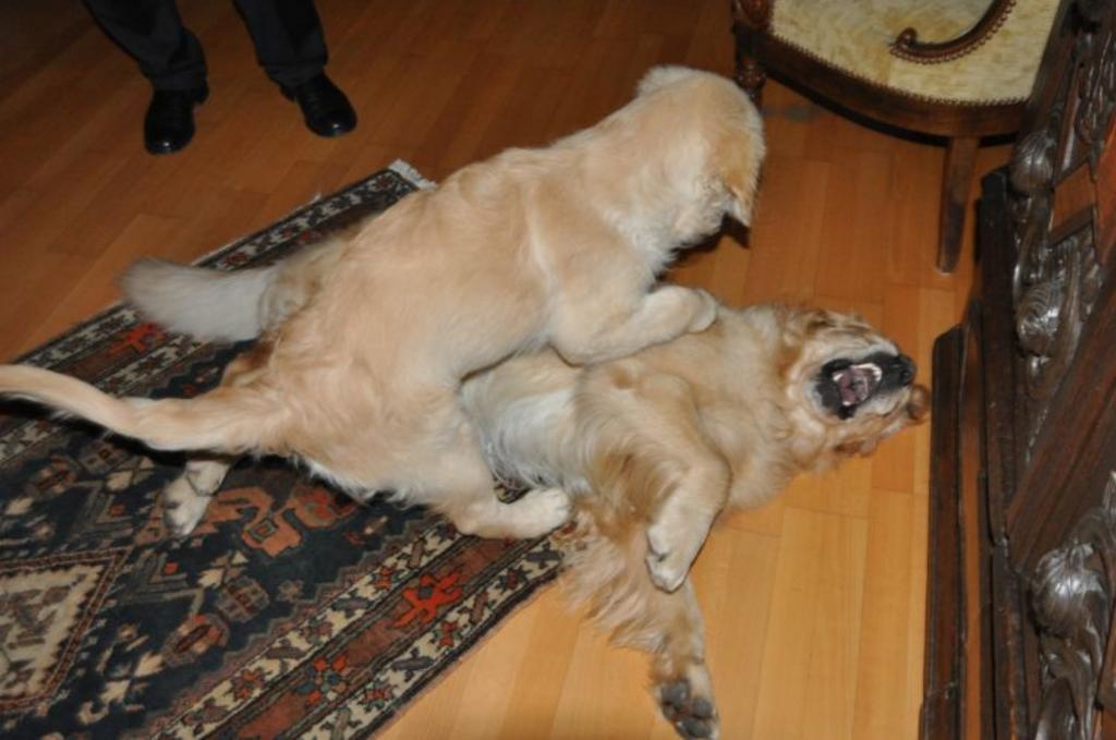 Clic pour l'image suivante