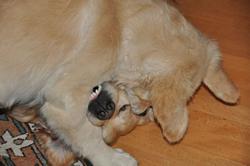 Clic pour agrandir l'image (1024x679 pixels; 60 KB)