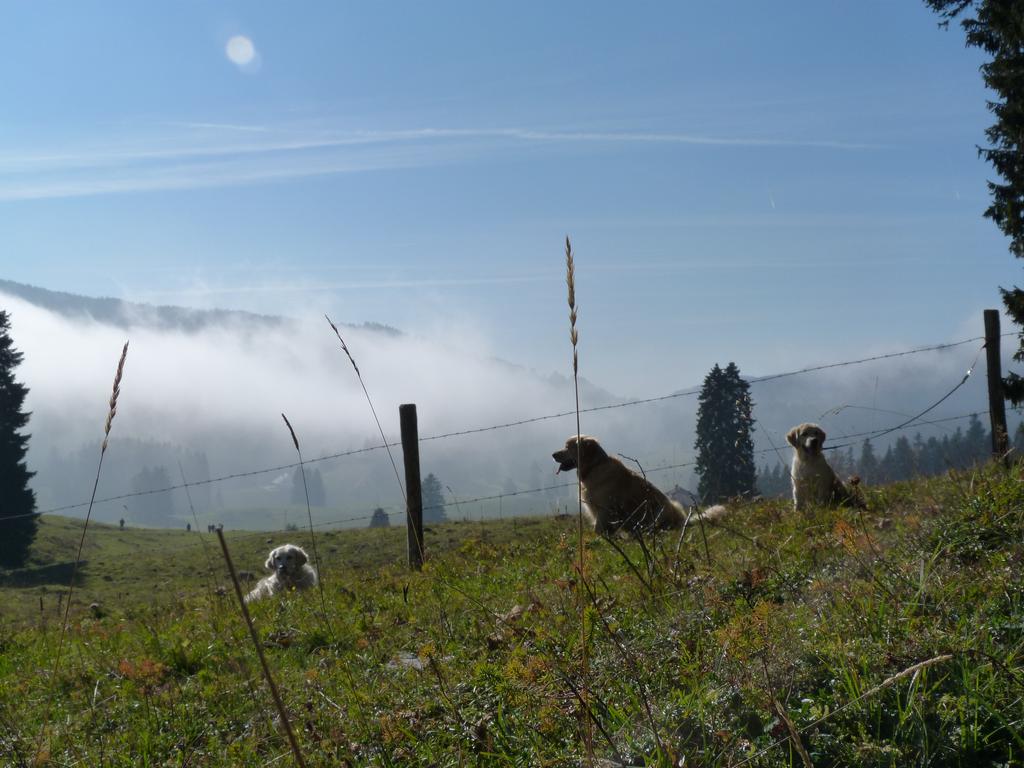 Clic pour l'image suivante