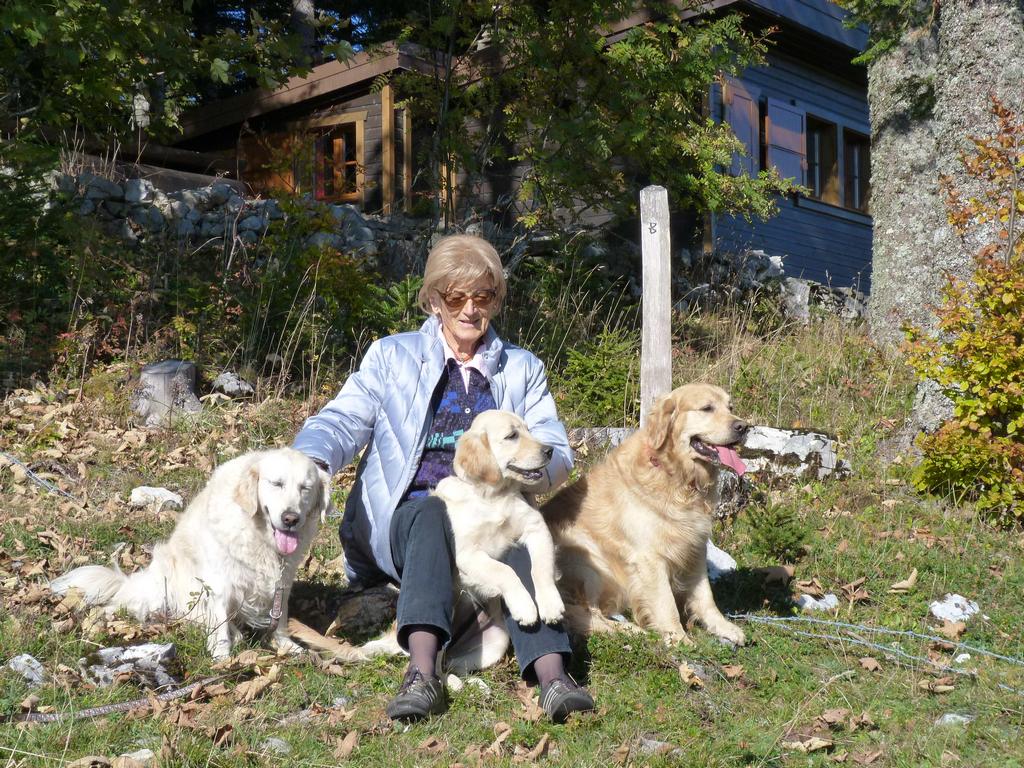 Clic pour l'image suivante