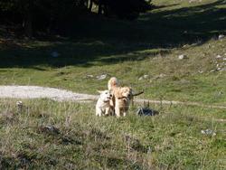 Clic pour agrandir l'image (1024x768 pixels; 188 KB)