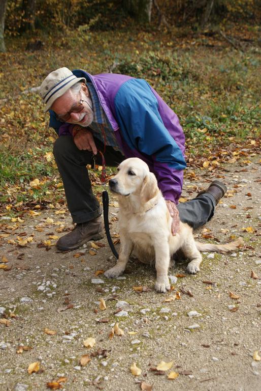 Clic pour l'image suivante