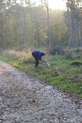 Clic pour agrandir l'image (514x768 pixels; 96 KB)