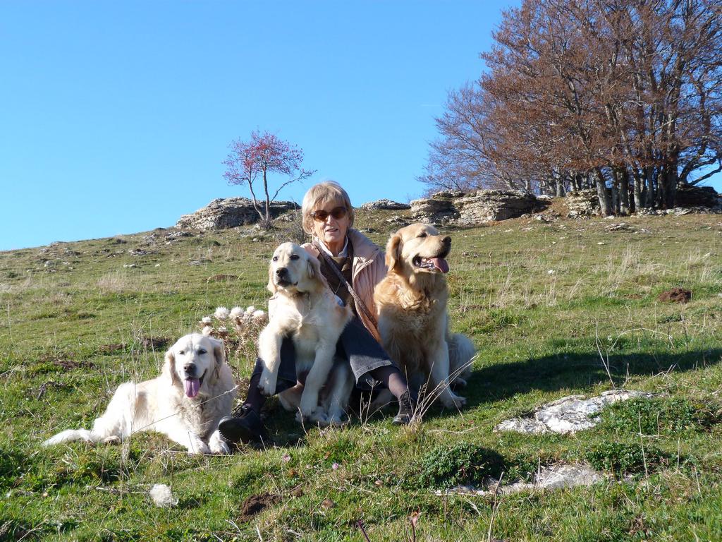 Clic pour l'image suivante