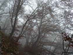 Clic pour agrandir l'image (1024x768 pixels; 188 KB)