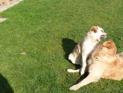 Clic pour agrandir l'image (1024x768 pixels; 239 KB)