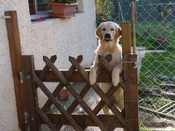 Clic pour agrandir l'image (1024x768 pixels; 158 KB)