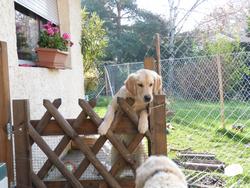 Clic pour agrandir l'image (1024x768 pixels; 192 KB)