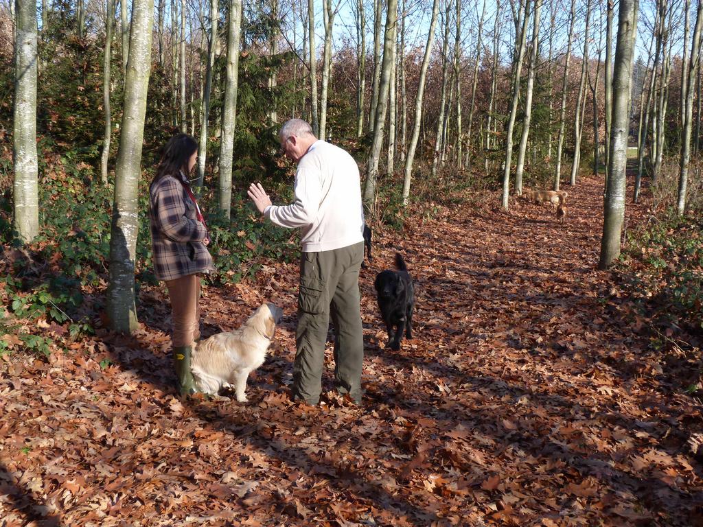 Clic pour l'image suivante