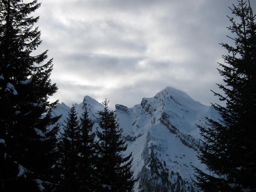 Clic pour l'image suivante