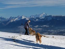 Clic pour agrandir l'image (1024x768 pixels; 92 KB)