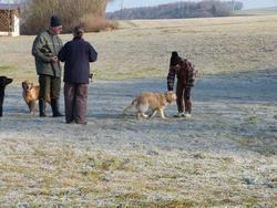 Clic pour agrandir l'image (1024x768 pixels; 221 KB)