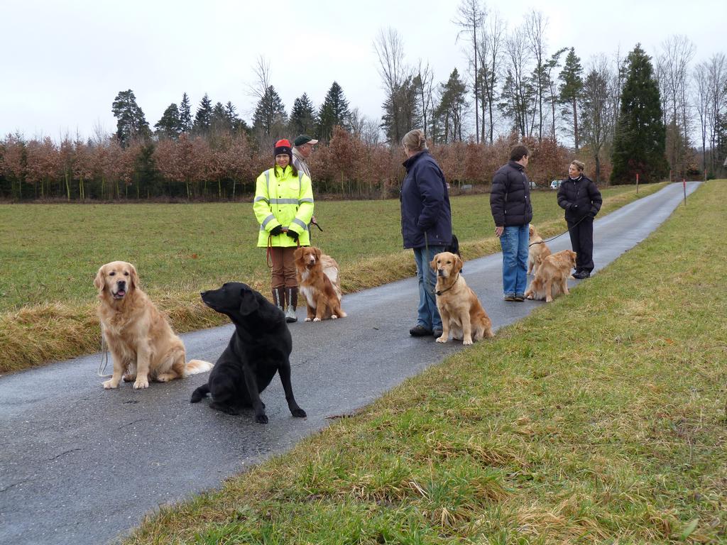 Clic pour l'image suivante