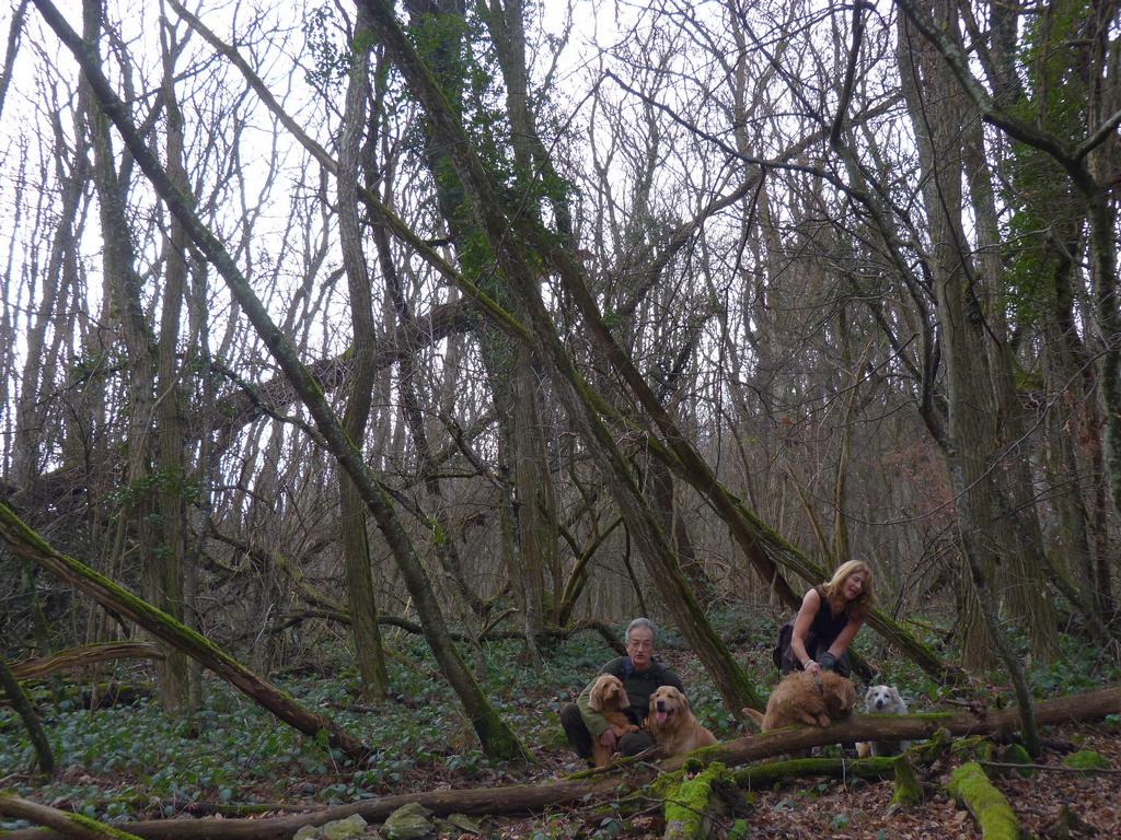 Clic pour l'image suivante