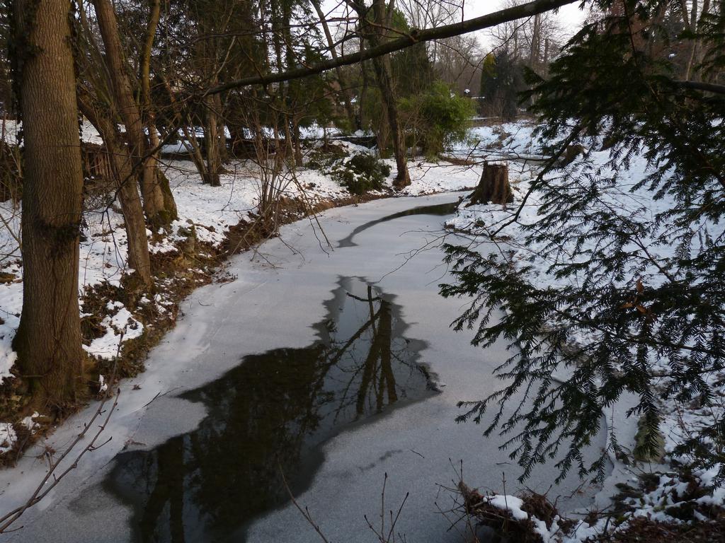 Clic pour l'image suivante