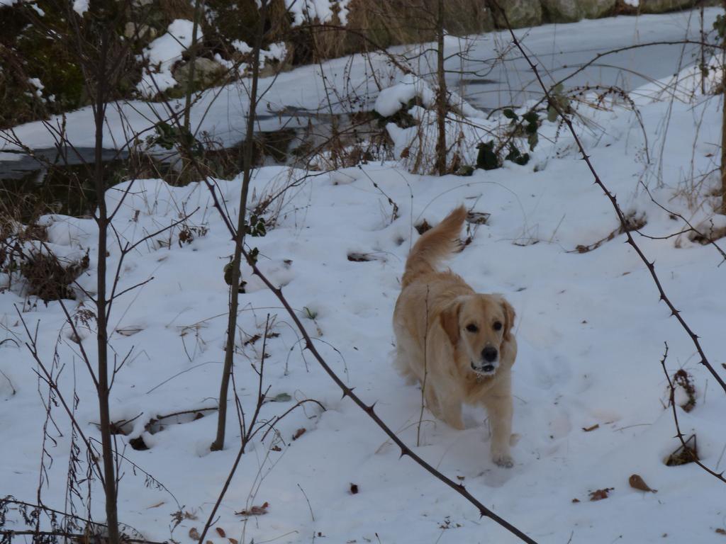 Clic pour l'image suivante