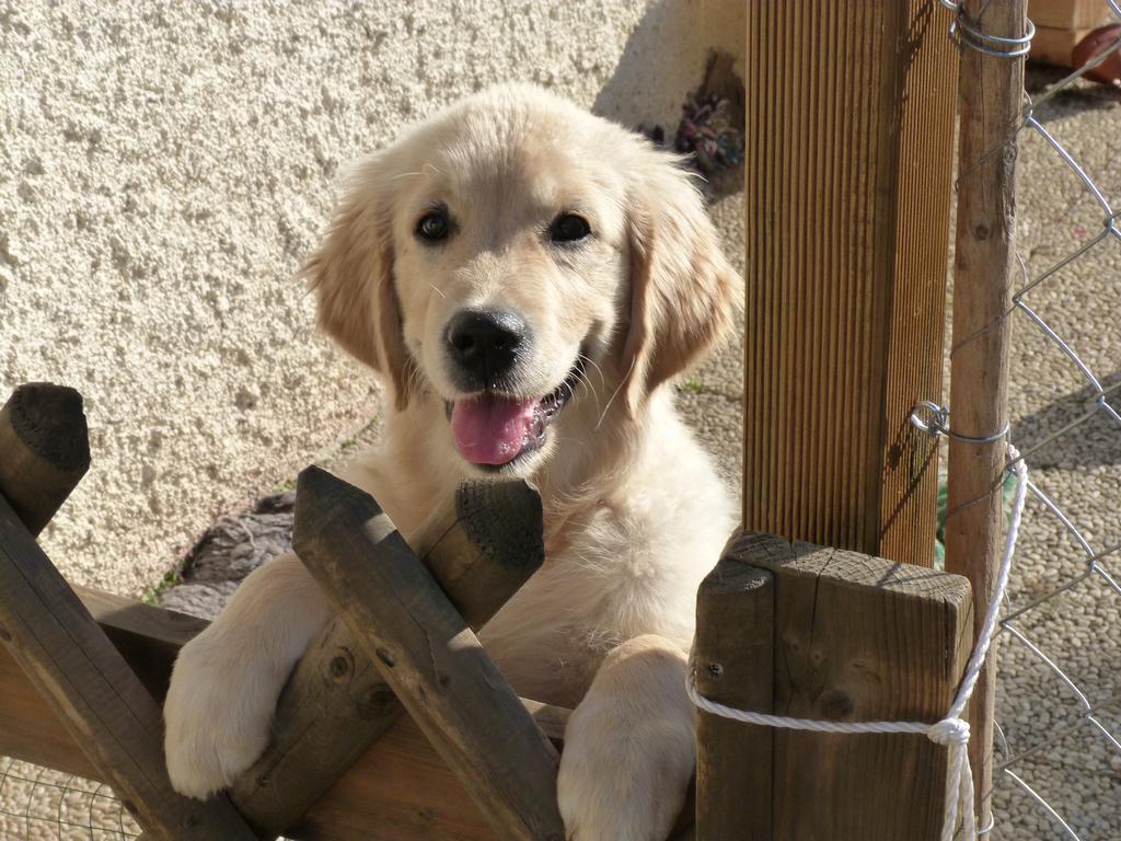 Clic pour l'image suivante