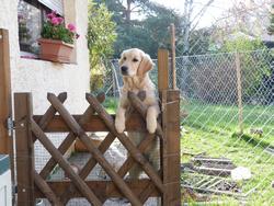 Clic pour agrandir l'image (1024x768 pixels; 195 KB)