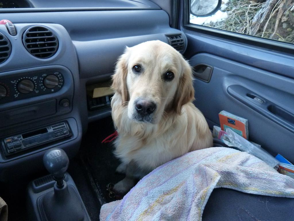 Clic pour l'image suivante